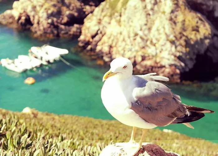 Casa Moinho Do Oeste - West Windmill Portugal *